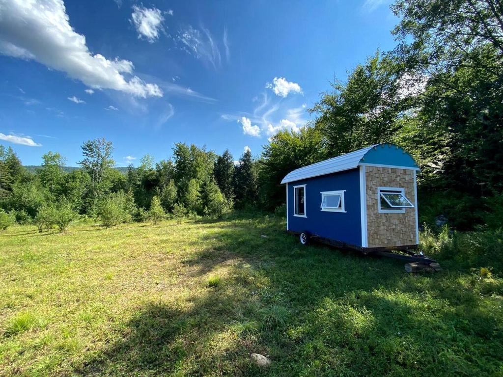 Charming Gypsy Caravan for Vacations in White Mountain National Forest