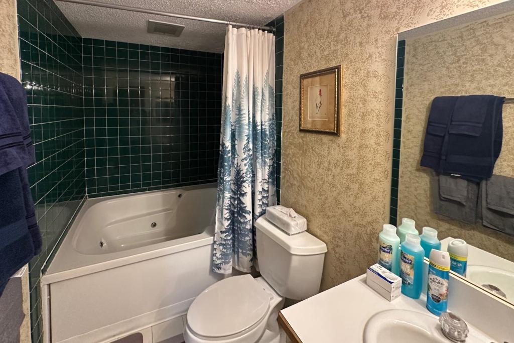 South Peak Efficiency At Rivergreen