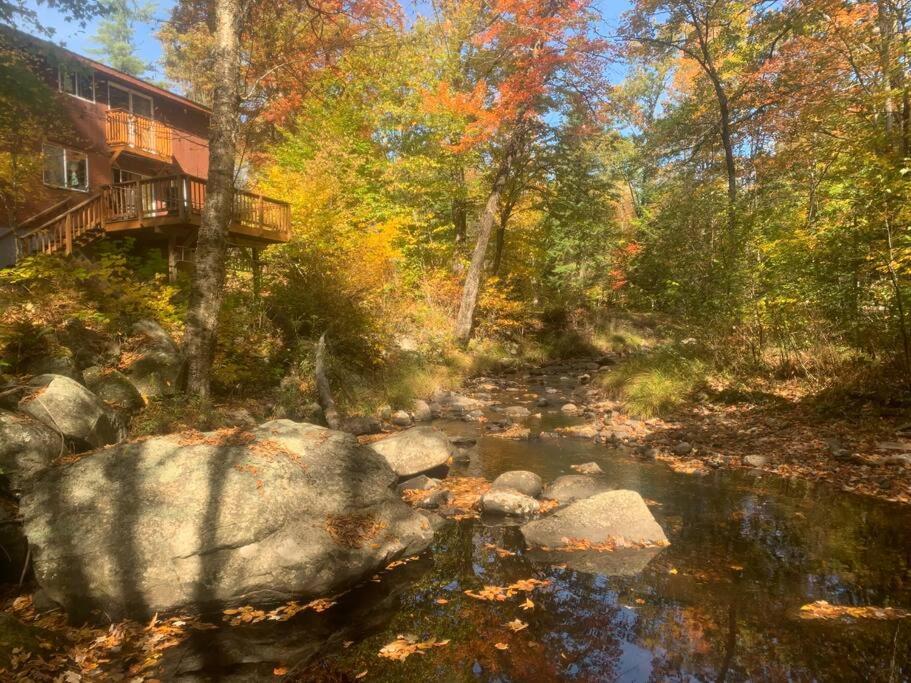 Whispering Woods Cabin - Creekside & Pet Friendly